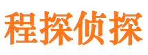 双台子市调查公司